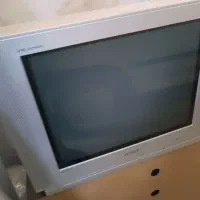 تلوزیون