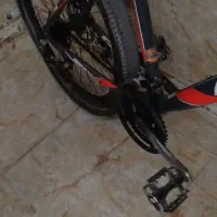 دوچرخه|دوچرخه، اسکیت، اسکوتر|فامنین, |دیوار