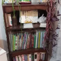 کتابخانه چوبی|کتابخانه، شلف، قفسههای دیواری|تبریز, |دیوار