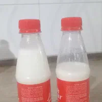 شیرالاغ موجود است