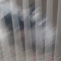 همه جفتی به شرط پرش وجوجه|پرنده|شیروان (خراسان), |دیوار