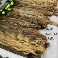 توجه. .کات مو ۱۰ تا ۱۱۰ خدمات کوتاهی مو خ.رید مو