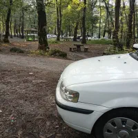 مسافرت شیراز