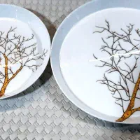 سرویس چینی و آرکوپال