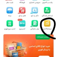 اسنپ سرمایه ۳ میلی طلا