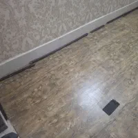 آقاهستم ۴۵همخانه میشم.