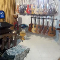 سنتور آموزشی تا حرفه ایی