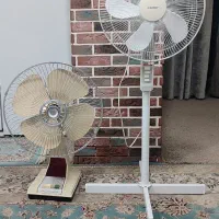 پنکه لرد کوهساران و سانی
