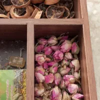 حراجی وسایل منزل