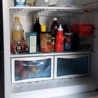 یخچال و فریزر|یخچال و فریزر|مشهد, کوشش|دیوار