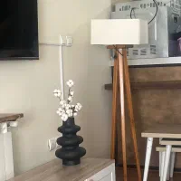 اباژور نو نو و وسایل منزل ب دلیل مهاجرت