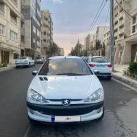 ۲۰۶ فنی در حد