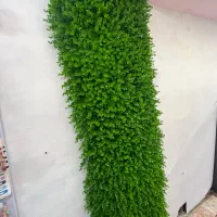 گرین وال مصنوعی|گل مصنوعی|آمل, |دیوار