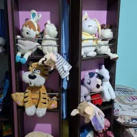 سه عدد کمد|تخت و سرویس خواب|تهران, اقدسیه|دیوار