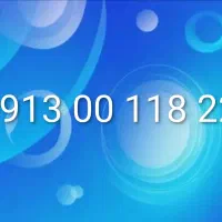 0913-00-118-22