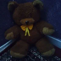 شاسخین|اسباب‌بازی بچه|شاهین‌شهر, طالقانی|دیوار