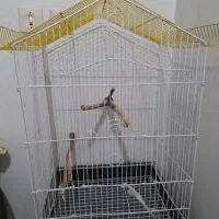 قفس پرنده