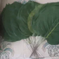 شاخه برگهای مصنوعی|گل مصنوعی|پردیس, فاز ۶|دیوار