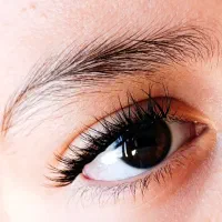 خدمات کاشت مژه|خدمات آرایشگری و زیبایی|شیراز, شهرک ایثار|دیوار