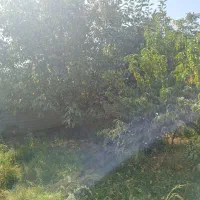 ملک و زمین|فروش زمین و ملک کلنگی|محمدشهر, محمدشهر|دیوار