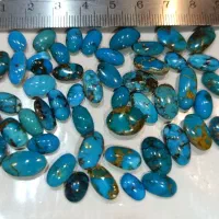 فیروزه نیشابوری احیاء