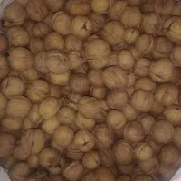گردو پر چرب امسال