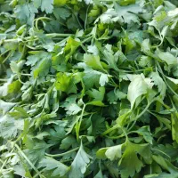 سبزی خورشی و اسفناج میدان بسیج ساعت 4|خوردنی و آشامیدنی|بم, |دیوار