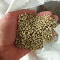 کود شیمیایی دی امونیم ۴۶ درصد گندم|خدمات باغبانی و درختکاری|بزینه رود, |دیوار