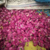 عمده فروشی.خریدفروش زعفران سرگل و گل محمدی  زرشگ|عمده‌فروشی|مشهد, آیت الله خامنه‌ای|دیوار