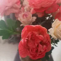 گل پاپیونی|گل مصنوعی|همدان, |دیوار