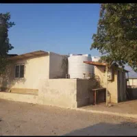 سوله شهرک کارگاهی /محمدی