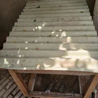 قفس مرغ خروس|لوازم جانبی حیوانات|کرمانشاه, |دیوار