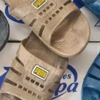 دمپایی ژله ای مردانه زنانه قیمت کلی|کیف، کفش، کمربند|سبزوار, قصبه غربی|دیوار