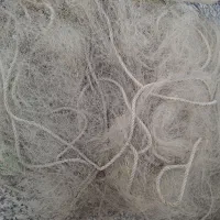 تورماهی گیری دست دوم