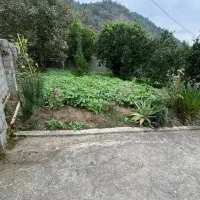 خانه ویلایی به همراه زمین|فروش خانه و ویلا|تالش, جوکندان|دیوار