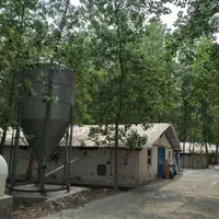 کارگر سالن مرغداری گوشتی