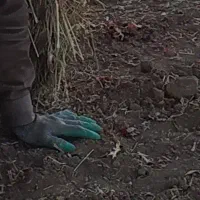 کارگر 27 ساله متاهل