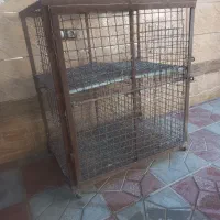 قفس کبوتر|لوازم جانبی حیوانات|نجف‌آباد, یزدانشهر|دیوار