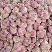 لبو شاهین تپه|خوردنی و آشامیدنی|دشتابی, |دیوار