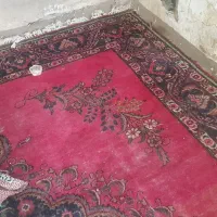 فرش دست بافت ۹متری|فرش|آزادشهر, |دیوار