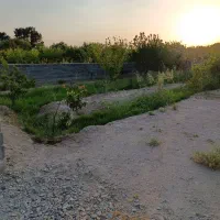 باغچه-فروشی-منجیل-آباد