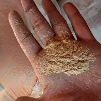 سبوس برنج|عمده‌فروشی|رودبنه, |دیوار