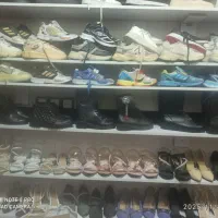 انواع اسپرت مردانه و زنانه وپوتین|کیف، کفش، کمربند|جوانرود, |دیوار