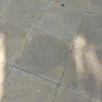 اکانت کالاف