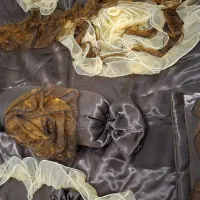 رو تختی دو نفره ، مناسب عروس|سرویس روتختی|تهران, تهرانسر مرکزی|دیوار