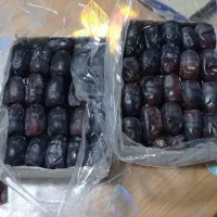 خرما دو ردیفی