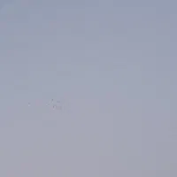 کارگاه صنعتی با سوئیت مدیریت