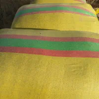 کاه درجه یک امسال