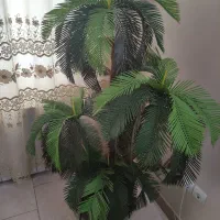درختچه مصنوعی