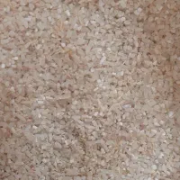 خرده برنج میداوود